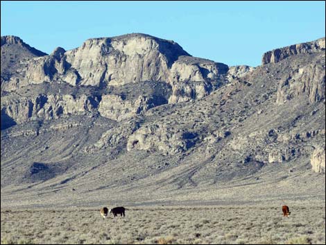 Basin and Range