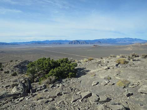 Basin and Range National Monument