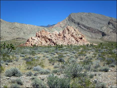 Gold Butte