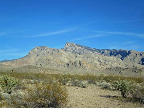 Gold Butte National Monument