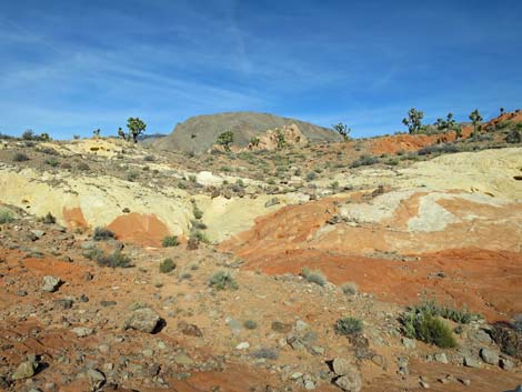 Gold Butte National Monument