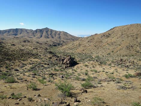 Gold Butte National Monument