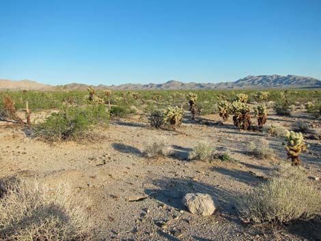 Lake Mead National Recreation Area