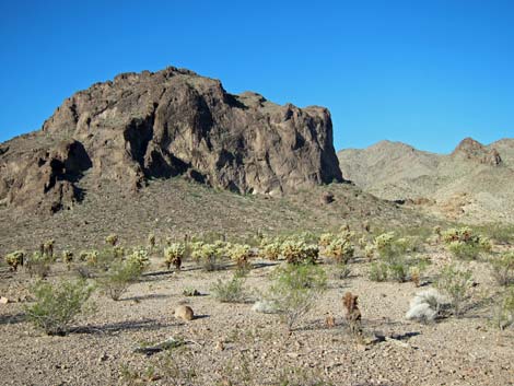 Lake Mead National Recreation Area