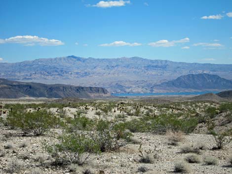 Lake Mead National Recreation Area