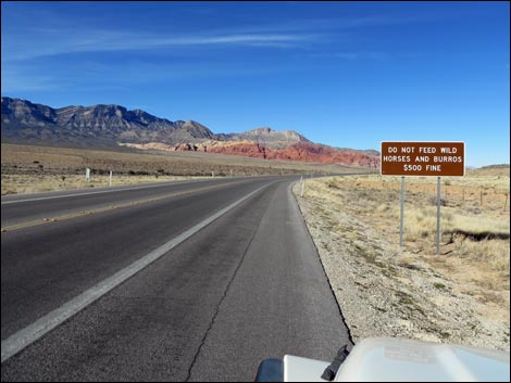 Red Rock Canyon National Conservation Area