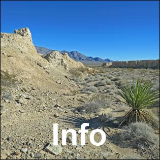 Tule Springs Fossil Beds National Monument