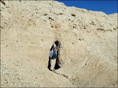 Tule Springs National Monument