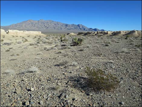 Tule Springs National Monument