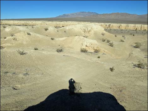 Tule Springs National Monument