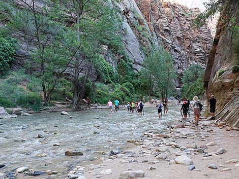 Zion National Park