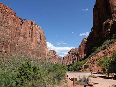 Zion National Park