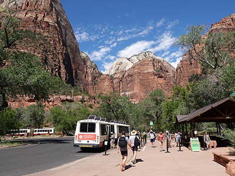 Zion National Park