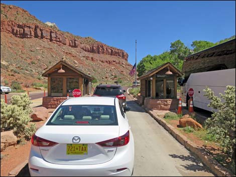 Zion National Park