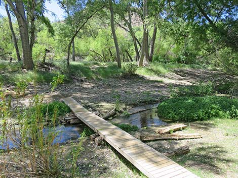 Hassayampa River Preserve