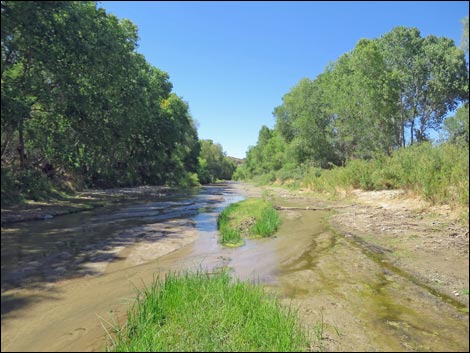 Hassayampa Roadside Rest Area