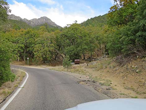 Madera Canyon