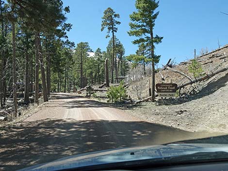 Rustler Park Road