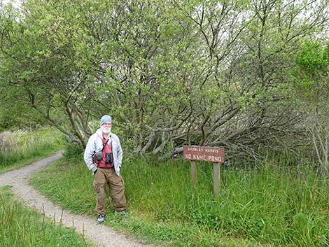 Arcata Marsh