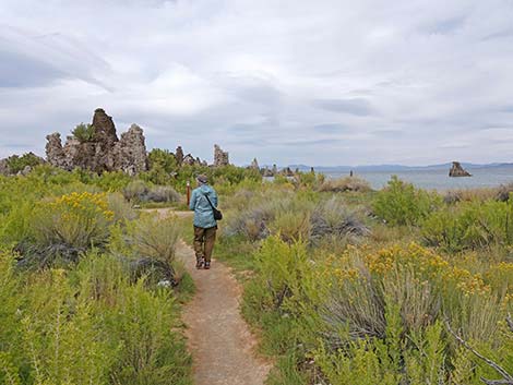 South Tufa Towers Trail