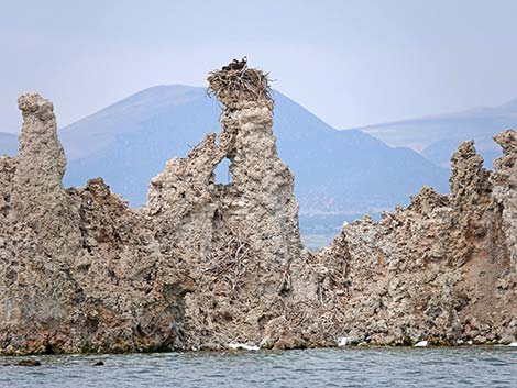 South Tufa Towers Trail