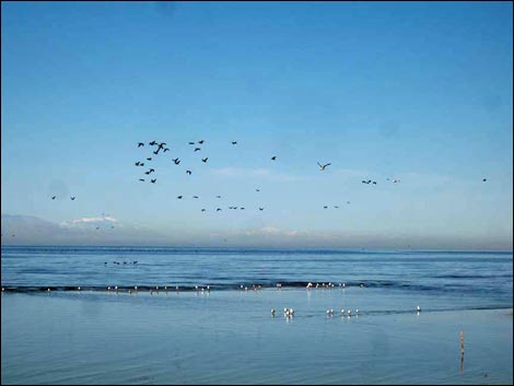 Salton Sea