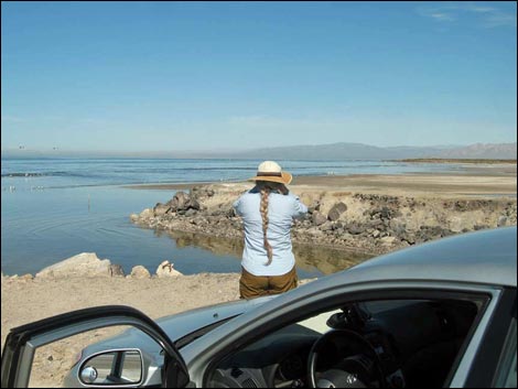 Salton Sea