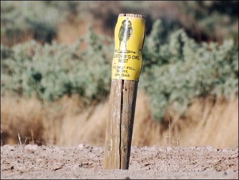 Salton Sea