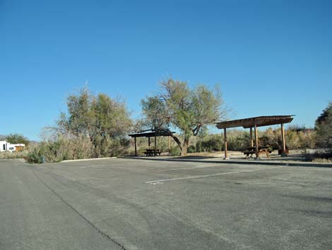 Birding the Salton Sea