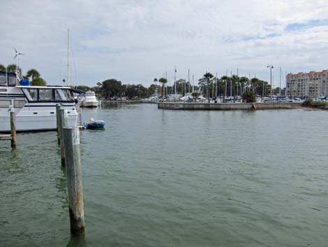 Dunedin Marina