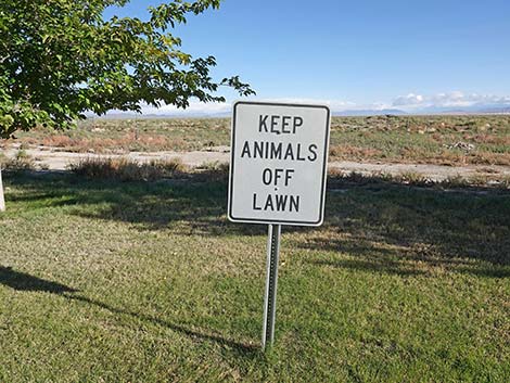 Millers Rest Area