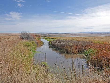 Malheur National Wildlife Refuge