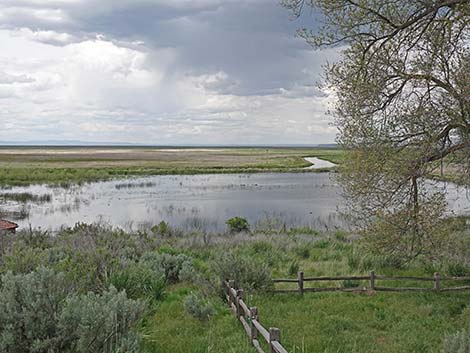 Malheur NWR