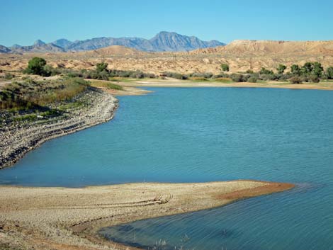 Bowman Reservoir