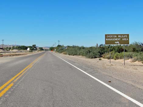 Overton Wildlife Management Area