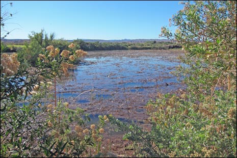 Overton Wildlife Management Area