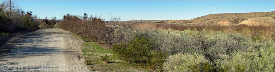 Virgin River Birding