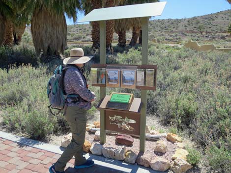 Moapa Valley National Wildlife Refuge