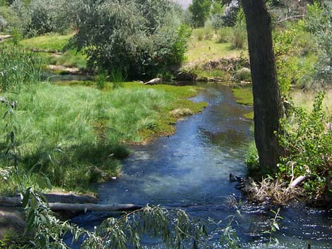 Crystal Spring