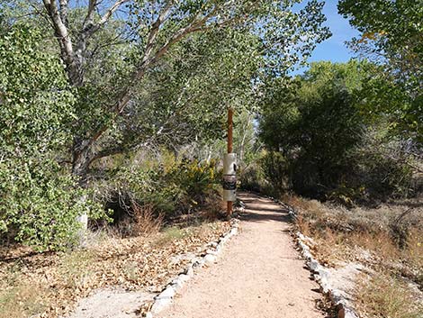 Pahranagat Visitor Center