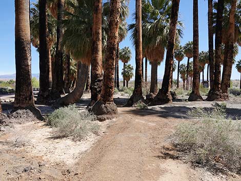 Warm Springs Natural Area