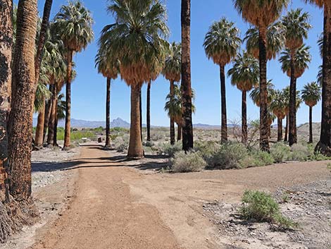 Warm Springs Natural Area