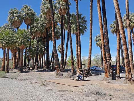 Warm Springs Natural Area