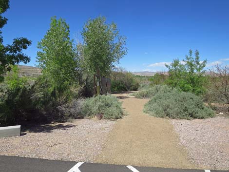 Warm Springs Natural Area