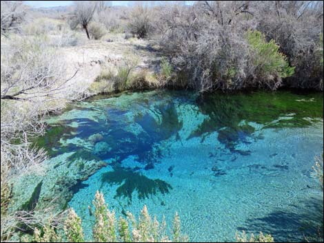 Crystal Spring