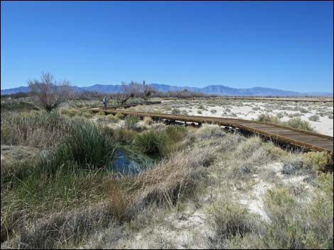 Crystal Spring