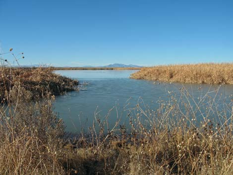 Peterson Reservoir