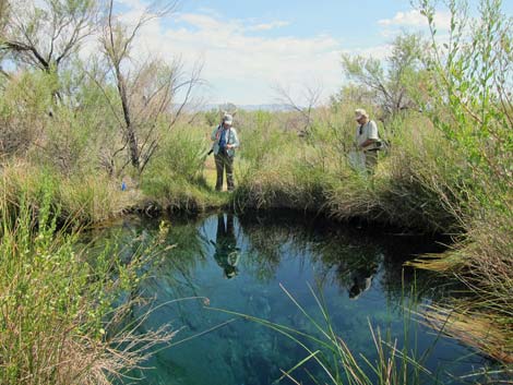 Rogers Spring