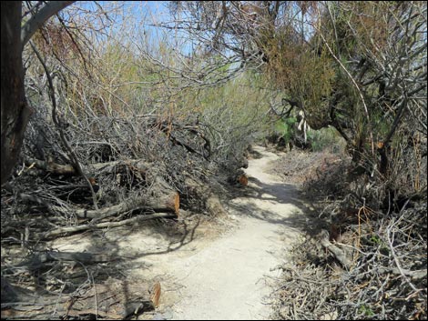 China Ranch