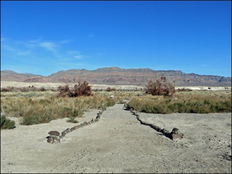 Shoshone Blue Birding Trail